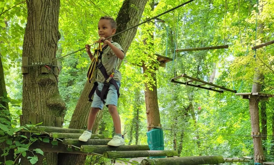 Expérience accrobranche en forêt pour enfant et adulte