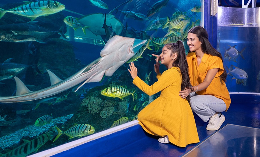 Image 5: Explore Dubai Aquarium with Frame, Glow Garden, Aya Universe & More!