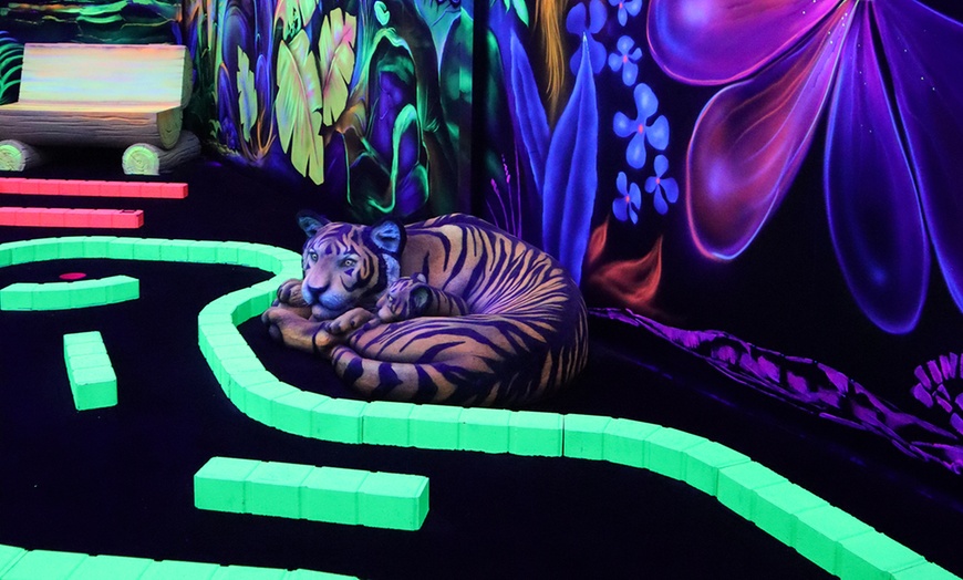 Image 5: Mini-golf Goolfy 60 minutes seul ou combiné repas