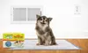 Scoochie Puppy Training Pads - 100 count