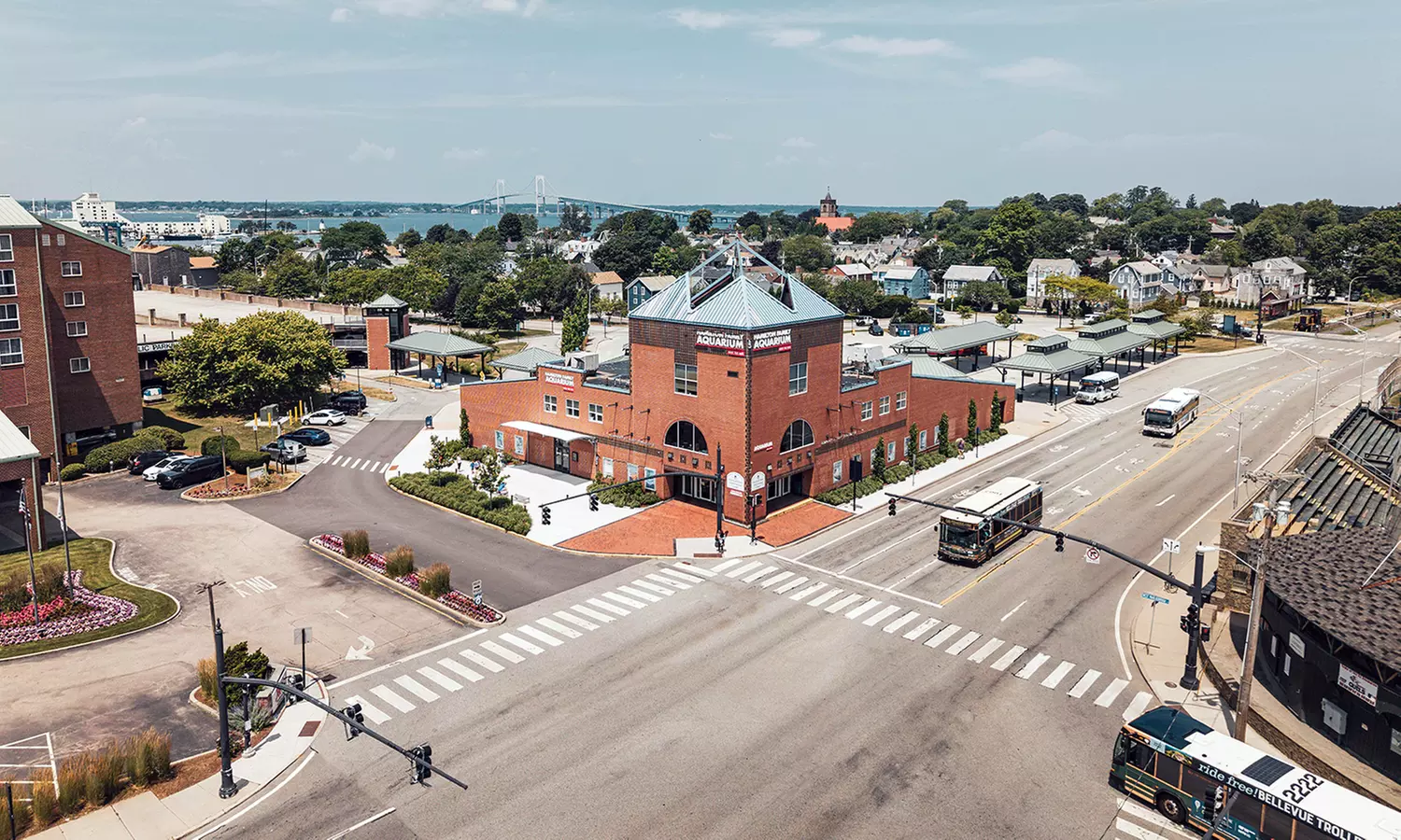 Explore Marine Life at Save The Bay's Aquarium – Newport, RI