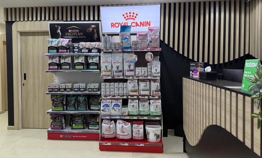 Image 4: Pet Grooming Packages + Bath Styling & Care for Small to XLarge Pets