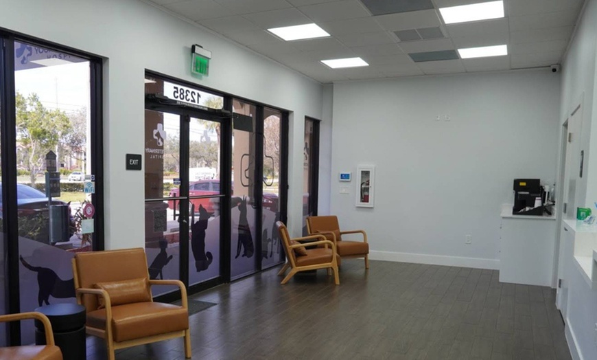 Image 5: Up to 59% Off on Vet at Your Veterinary Hospital