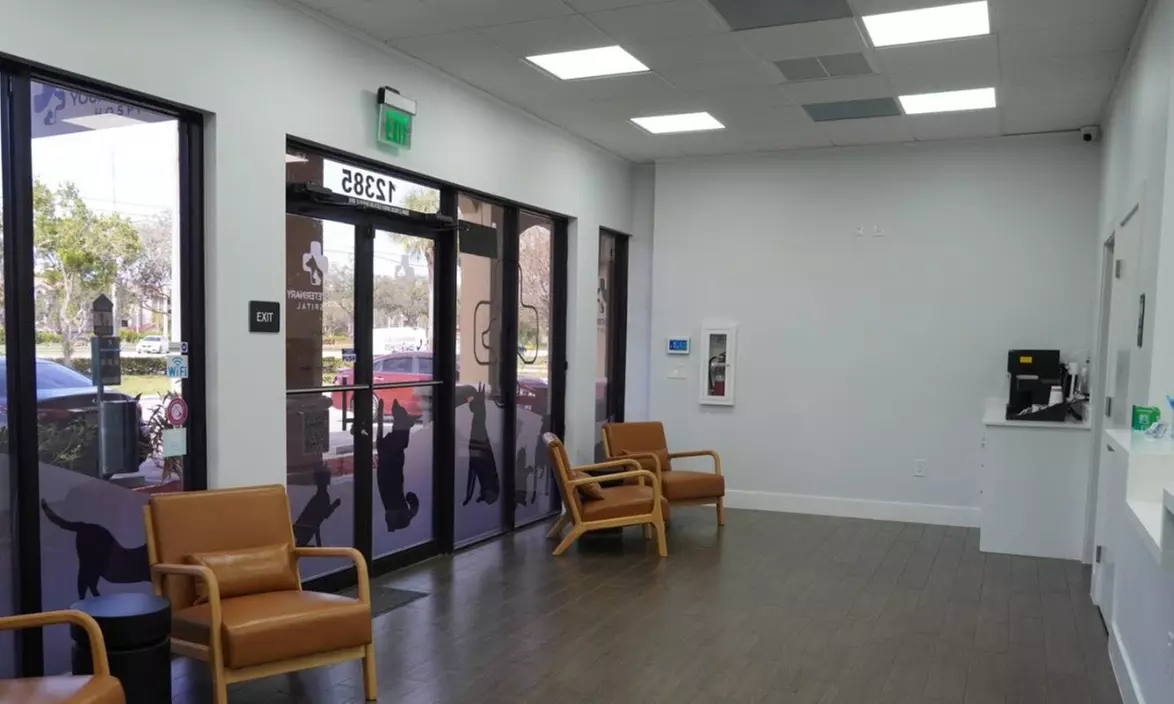 Up to 59% Off on Vet at Your Veterinary Hospital