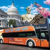 Image 1: Discover DC by Hop-on Hop-off Bus - Save Up to 31%