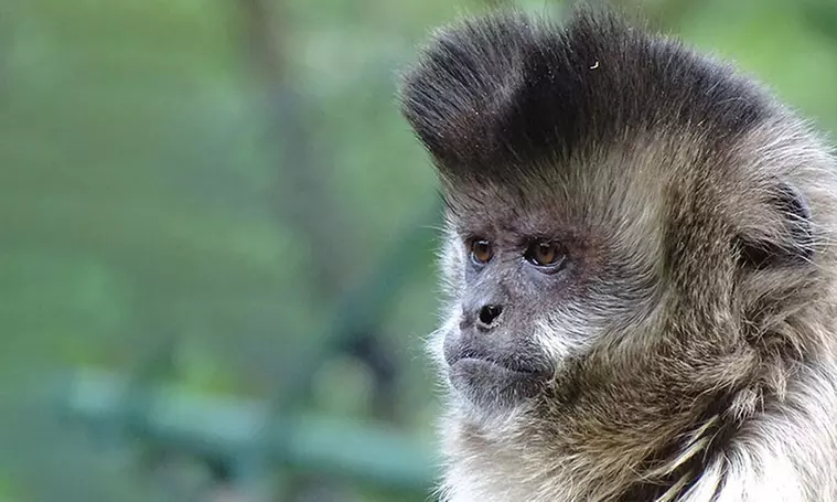 Tageskarte oder Familienkarte für den Tierpark Weißwasser