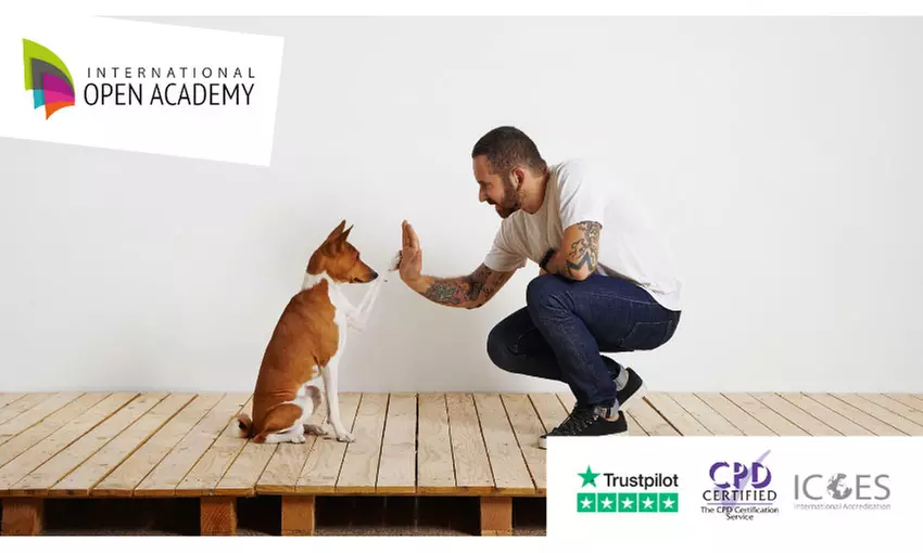 Master Dog Training & Pet Care with Flexible Online Classes from Certified Trainers! - Primary Image