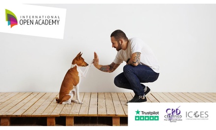Dog Training Pack 1: Dog Training Essentials - International Open Academy