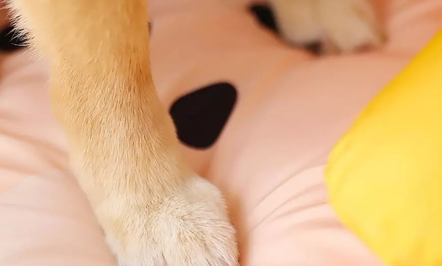 Image 3: Breathable Slide and Scratch-Resistant Cooling Mat for Cat or Dog 