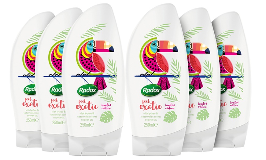 Image 6: Radox Shower Gels 250ml