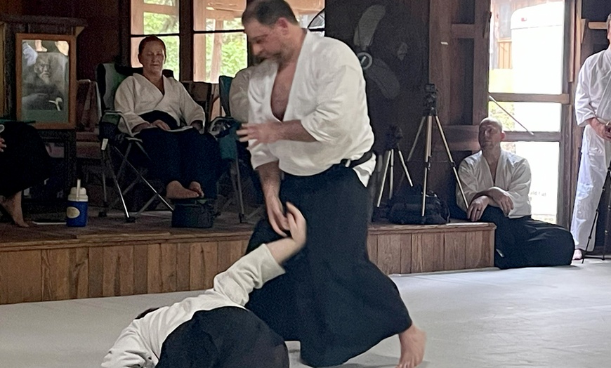 Image 2: 3 Month Unlimited Martial Arts Classes for Adults Above 14+ Only