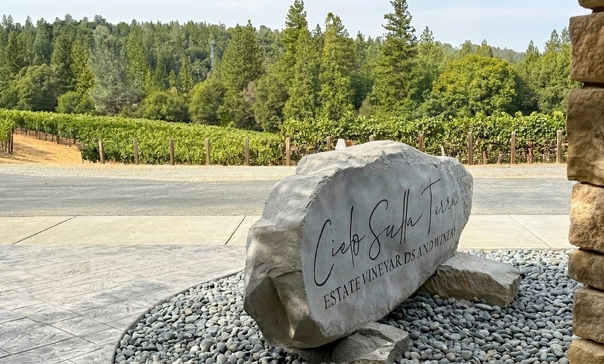 Image 14: Wine Tasting Experience w/ Personal Charcuteries for Up to 4 and More