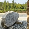 Image 14: Wine Tasting Experience w/ Personal Charcuteries for Up to 4 and More