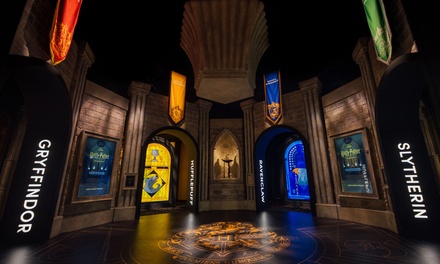 Flex Entry Ticket for One (Valid Any Time, Thursday - Sunday) - Harry Potter™: The Exhibition  -- Dallas