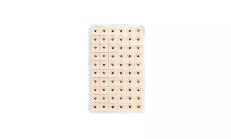 Bis zu 10x Acusoothe Ohrensamen für Akupressur und Akupunktur-Therapie