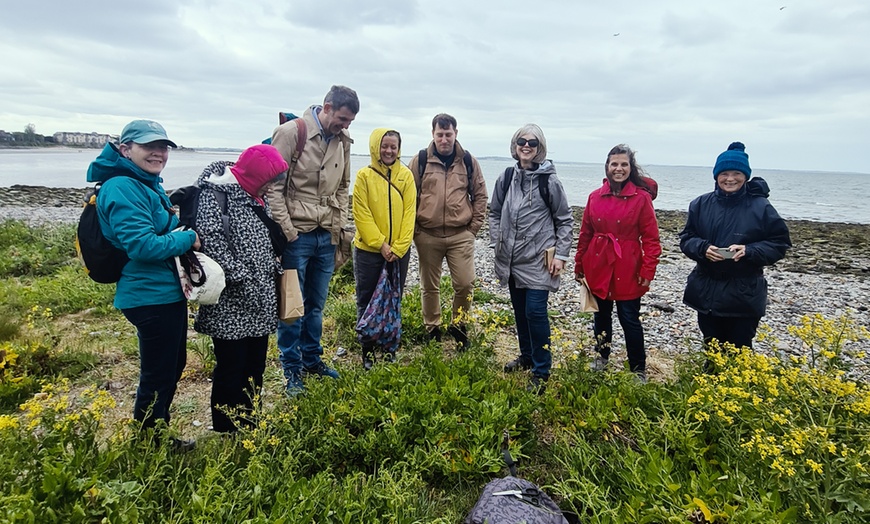 Image 3: Join the Adventure: Two or Four Person Foraging Tour Howth