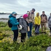 Image 3: Join the Adventure: Two or Four Person Foraging Tour Howth