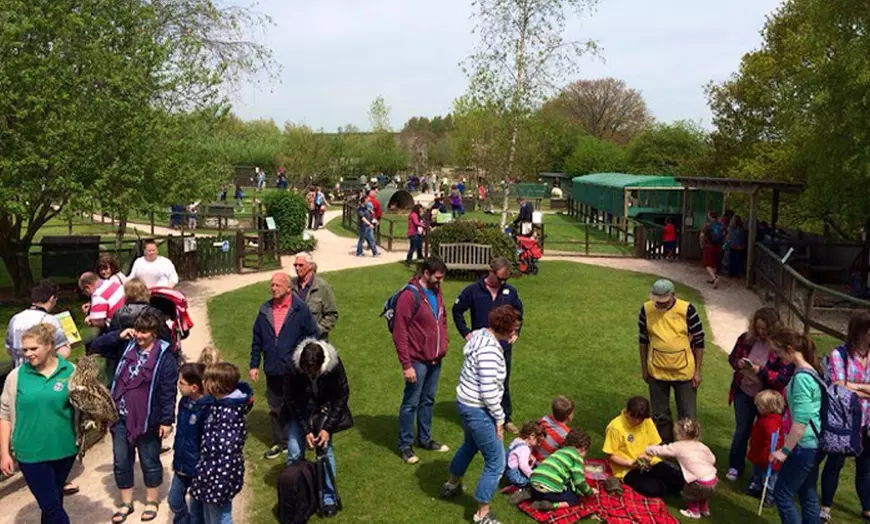 Image 7: Entry for Adults and Children or a Family to Totnes Rare Breeds Farm