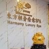 Image 3: Up to 64% Off on Salon - Scalp Care at Harmony Luxury spa