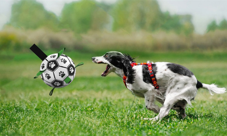 Image 4: Dog Toy Soccer Ball