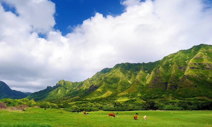 Image 14: ✈ 4-Day Hawaii Vacation with Air from Great Value Vacations