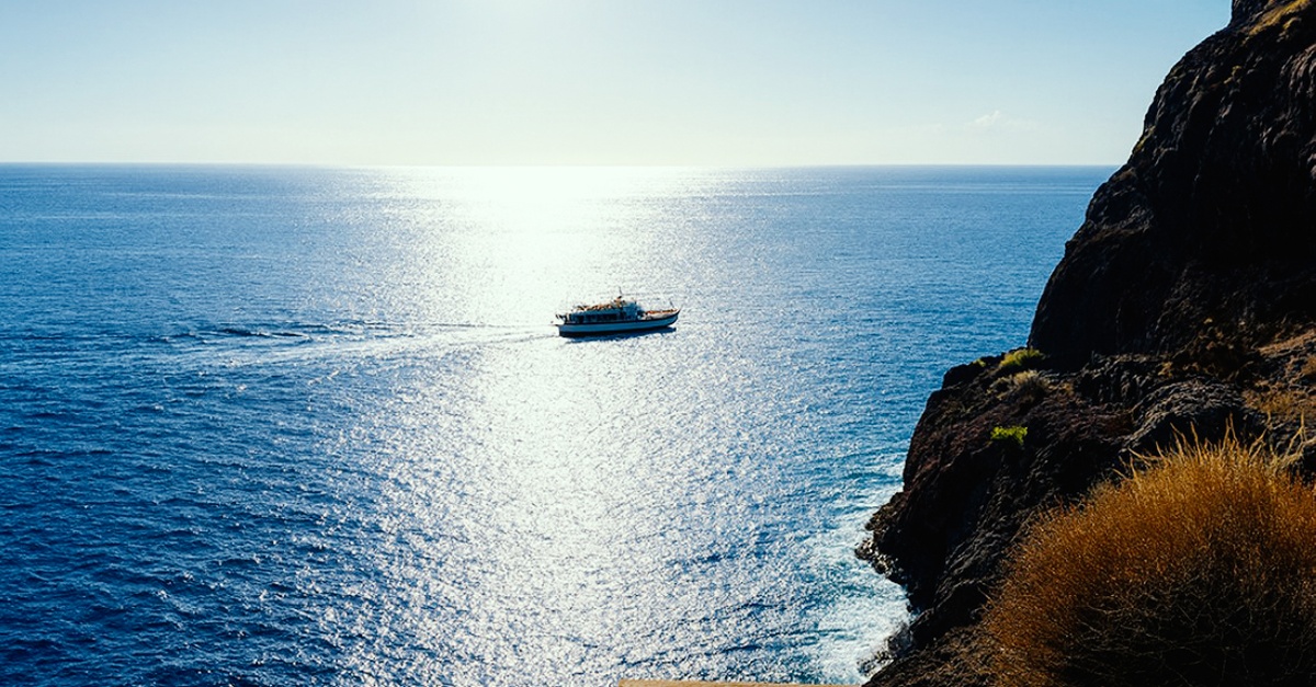 Excursión en barco para avistar ballenas y delfines en Tenerife
