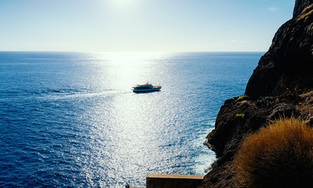 Para 1 adulto: excursión de 3 horas en barco de época para avistar ballenas y delfines con comida y bebida - Tina Excursiones - La Gomera