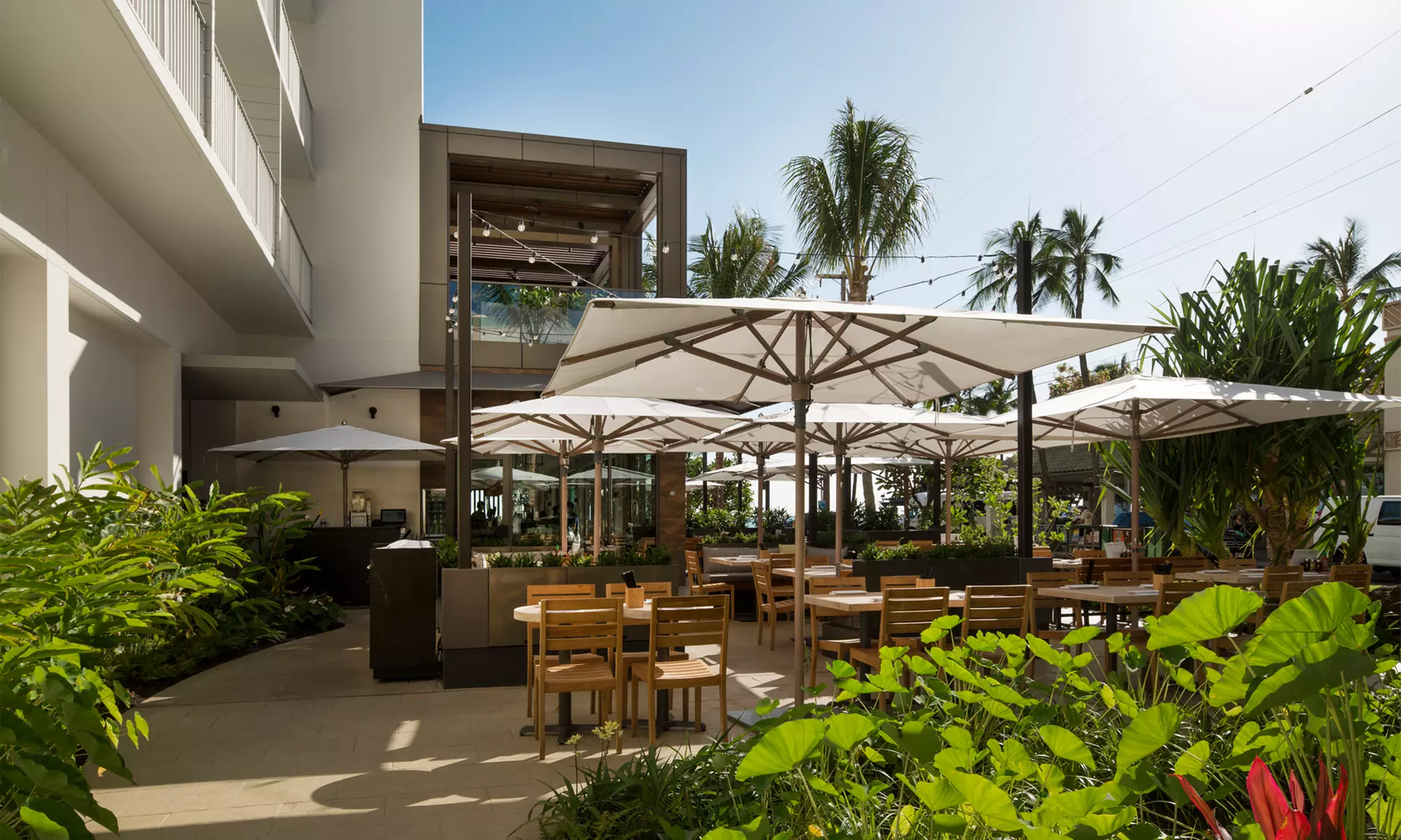 Stay at Waikiki Beach Upscale Alohilani Hotel