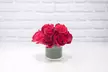 Send Fresh Roses with Premium Assorted Chocolates, Teddy Bear, & Balloon Bundle Option | Same Day Flower Delivery (Up to 30% Off) - Second Medium
