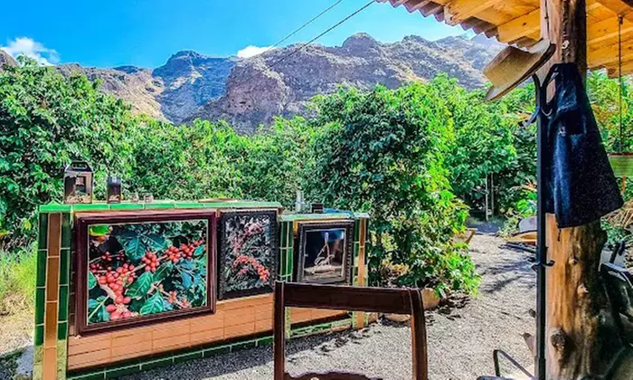 Visita a la Finca Los Castaños con degustación de café para 1, 2 o 4