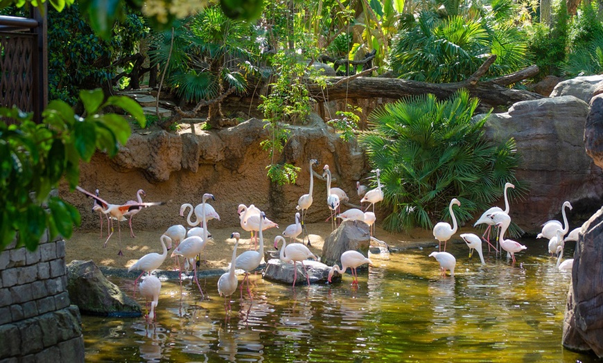Image 15: Vive un viaje educativo y salvaje con una entrada a Bioparc Fuengirola