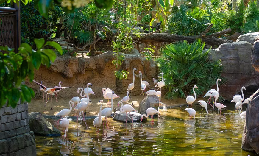 Image 15: Vive un viaje educativo y salvaje con una entrada a Bioparc Fuengirola
