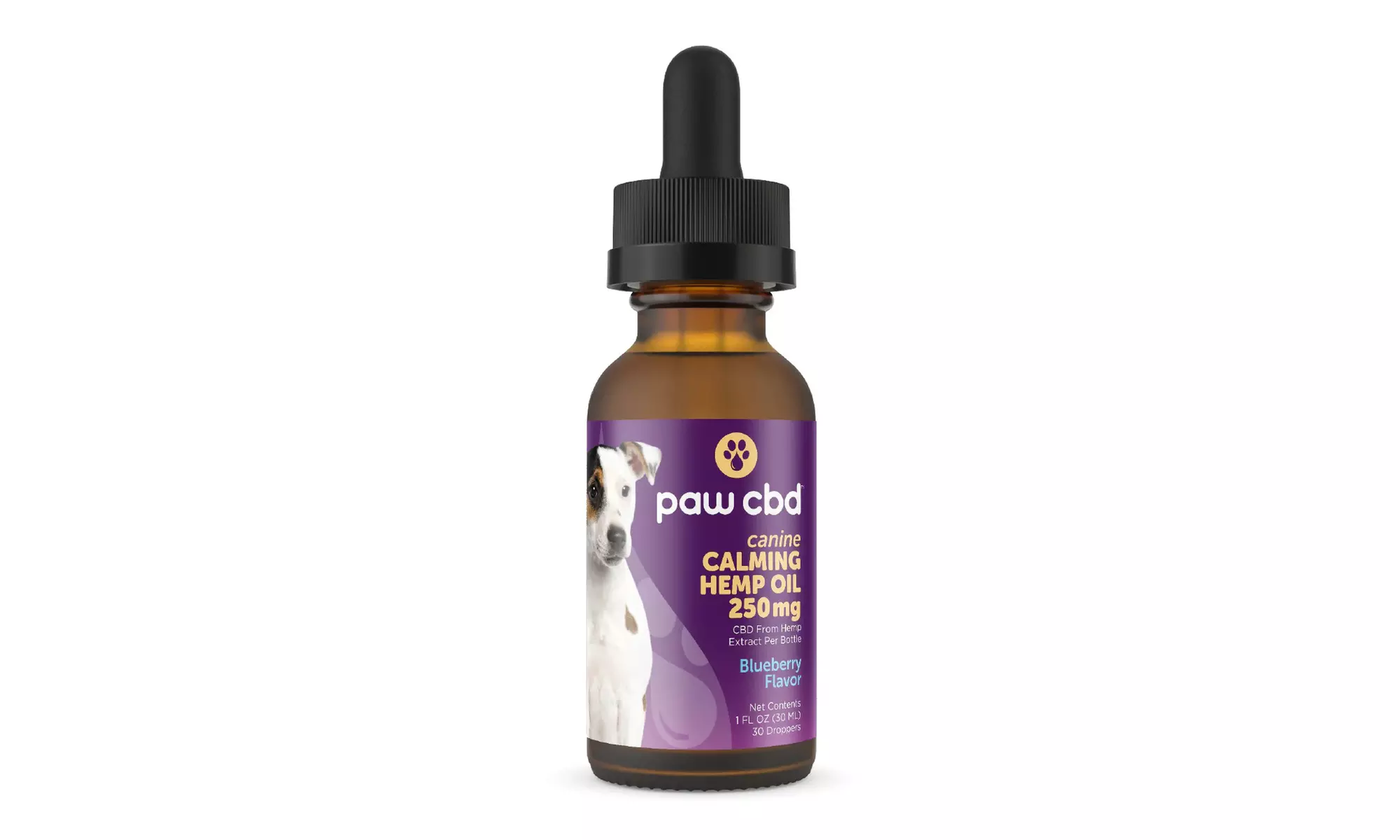 Calming CBD Dog Oil Tincture Blueberry with Melatonin - 250MG from cbdMD