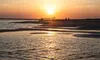 Private Beachside Cookout with Chef & EcoTour for Groups on Capers Island