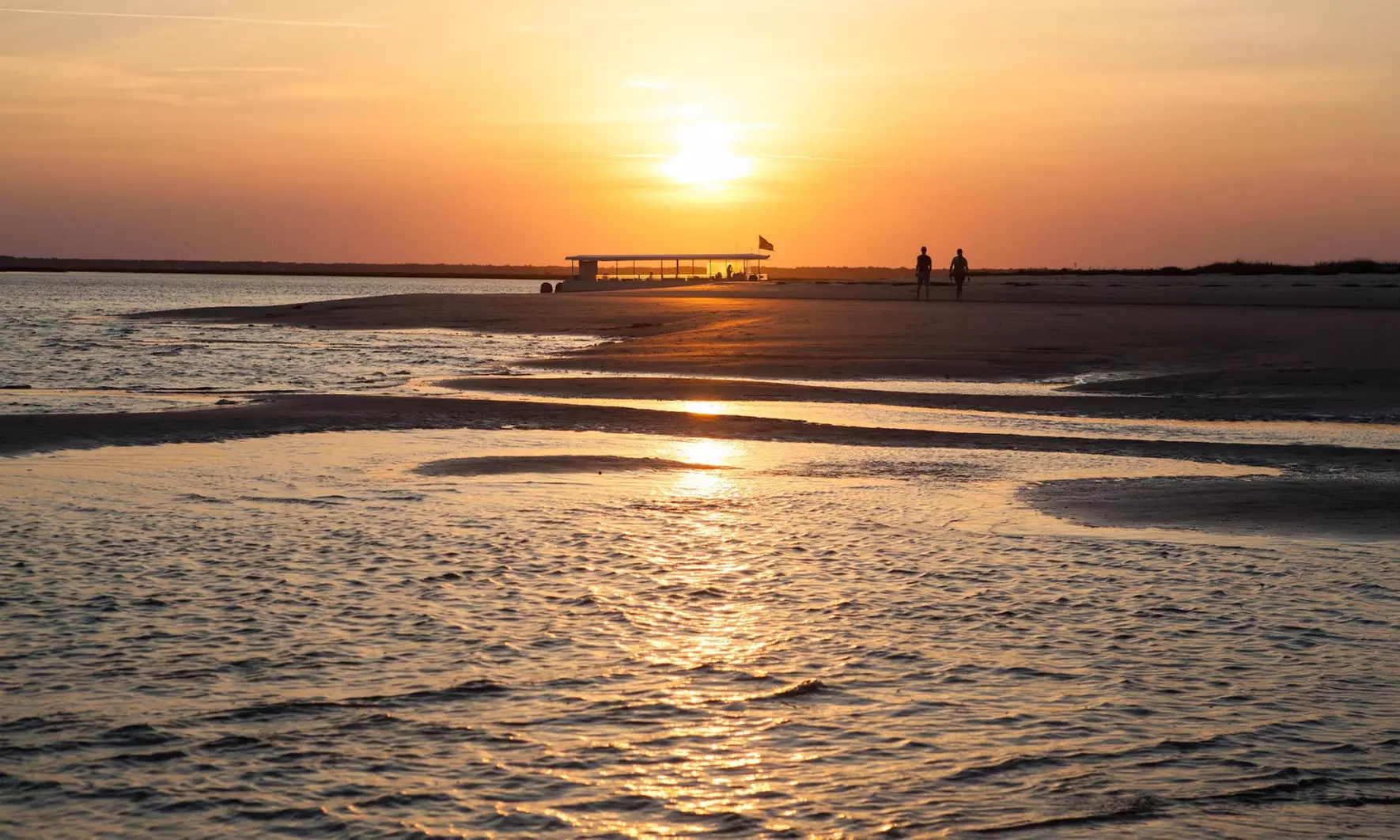 Enjoy a Beachside Cookout Private Charter for Up to 49 People!