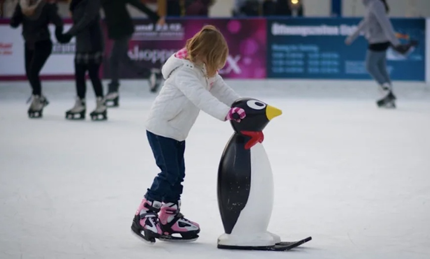 Image 3: Ice Skating Session