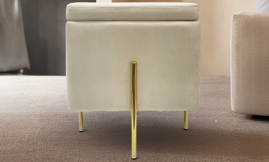 Image 2: Stijlvolle opbergpoef