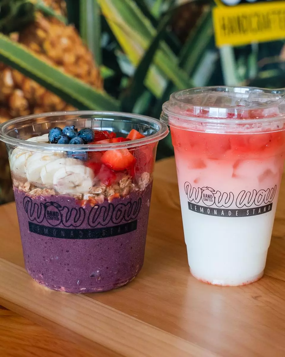 Experience Vegan Food Festival -  Express Tickets for 1, 2, or 3