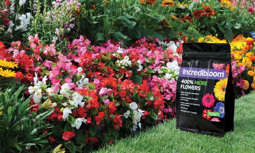 Image 1: Incredibloom Plant Fertiliser