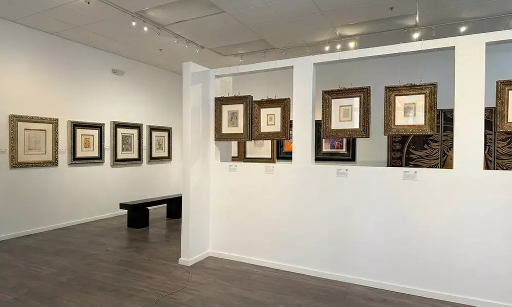 Art Museum Admission: Local & International Collections