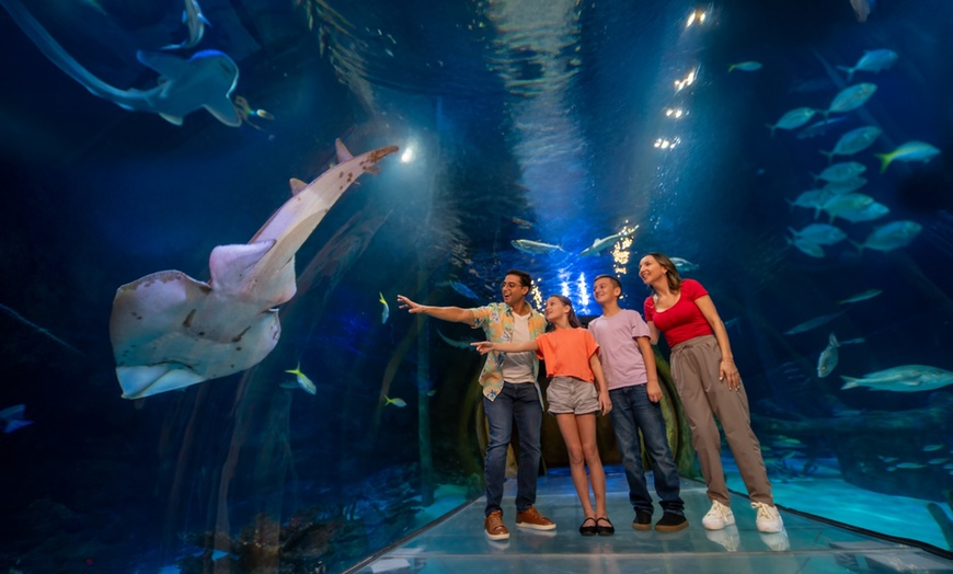 Image 3: ICON Park Attraction Deals - Madame Tussauds, SEA LIFE, Orlando Eye 