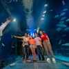Image 3: ICON Park Attraction Deals - Madame Tussauds, SEA LIFE, Orlando Eye 