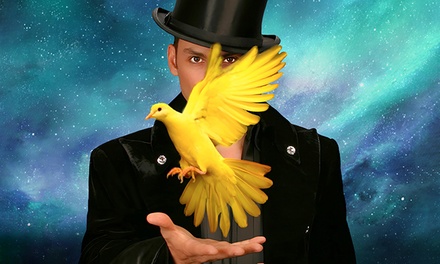 Side Seating - Allstars of Magic at V Theater Planet Hollywood Las Vegas 2025