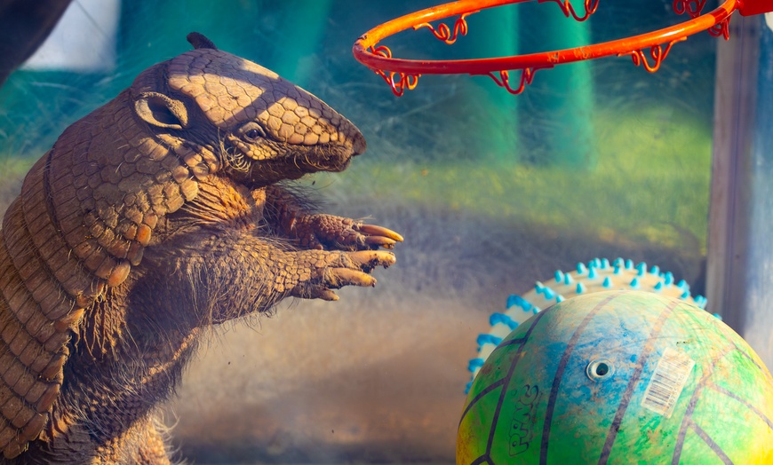 Image 10: Animal Encounters, VIP Experiences, or Wildlife Educator for a Day!