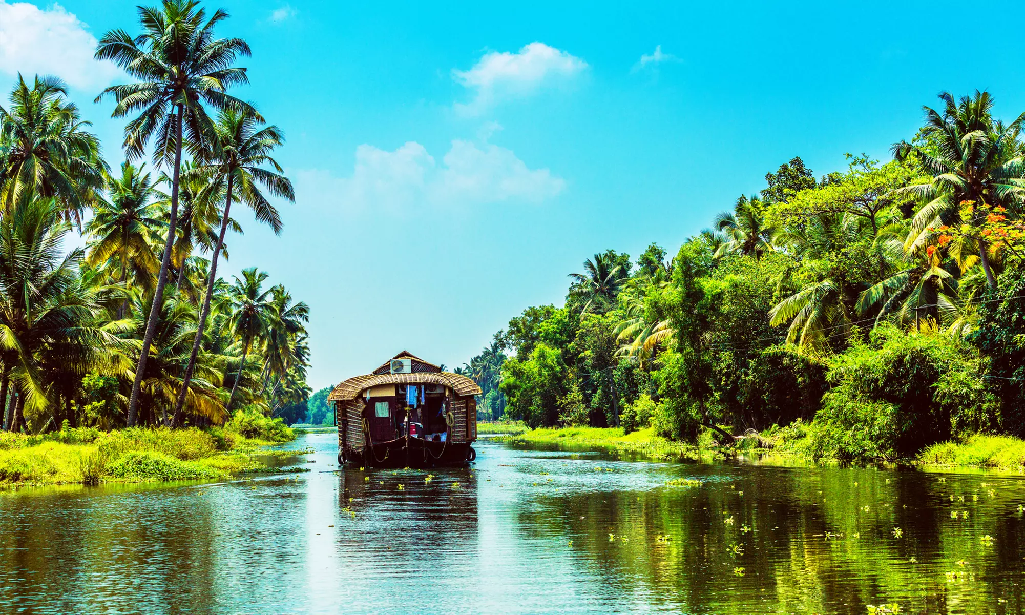 India: Kerala Serenity Journey