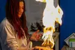 Educational Family Fun with Hands-On Learning at Non-Profit Science Center - Second Medium
