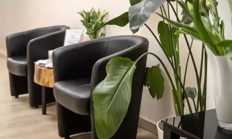 Fotoodmładzanie laserem i zamykanie naczynek dla pięknej skóry