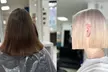 Cut, Color & Care: Dein Rundum-Schönheitsprogramm für’s Haar (bis zu 36% sparen) - Second Medium