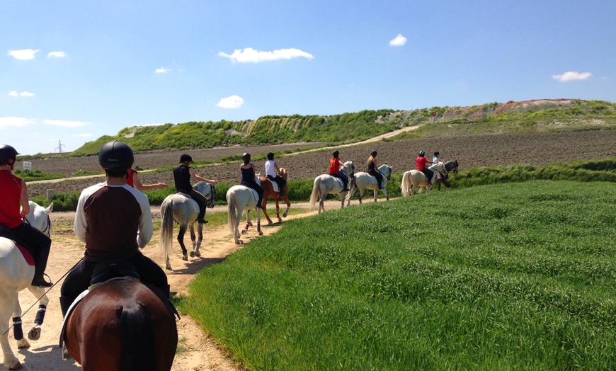 Image 2: Paseo a caballo en entorno natural para cualquier nivel (hasta 4 pax.)