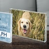 Image 1: Personalized Pet Memorial Keepsakes - Shipping Not Included